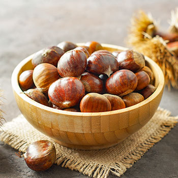 Castanheiro