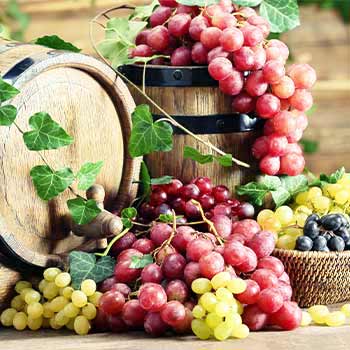 Uvas para vinho