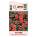 Rosa mini Big Bang®, C5 interface.art foto 3 Rosa mini Big Bang®, C5 interface.image 3 interface.art 5552