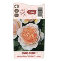 Rosa de flor grande Anna Fendi®, C5 interface.art foto 4 Rosa de flor grande Anna Fendi®, C5 interface.image 4 interface.art 5548