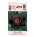 Rosa de flor grande Magia Nera®, C5 interface.art foto 4 Rosa de flor grande Magia Nera®, C5 interface.image 4 interface.art 5533