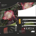 Rosa de flor grande Nostalgie®, C3 interface.art foto 2 Rosa de flor grande Nostalgie®, C3 interface.image 2 interface.art 4563