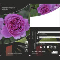 Rosa floribunda Adore Aroma®, С3 interface.art foto 3 Rosa floribunda Adore Aroma®, С3 interface.image 3 interface.art 2065