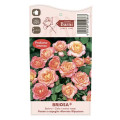 Rosa floribunda Briosa®, C5 interface.art foto 4 Rosa floribunda Briosa®, C5 interface.image 4 interface.art 6149