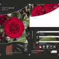 Rosa floribunda Chic™ Fashion ®, С3 interface.art foto 3 Rosa floribunda Chic™ Fashion ®, С3 interface.image 3 interface.art 6172