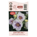 Rosa floribunda Eyes for You®, C5 interface.art foto 5 Rosa floribunda Eyes for You®, C5 interface.image 5 interface.art 5507