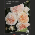 Rosa floribunda Garden of Roses®, C5 interface.art foto 2 Rosa floribunda Garden of Roses®, C5 interface.image 2 interface.art 5822