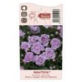 Rosa floribunda Nautica®, C5 interface.art foto 4 Rosa floribunda Nautica®, C5 interface.image 4 interface.art 6150