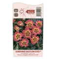 Rosa floribunda Sunshine Babylon Eyes®, C5 interface.art foto 3 Rosa floribunda Sunshine Babylon Eyes®, C5 interface.image 3 interface.art 5517