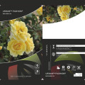 Rosa floribunda Urban ™ Fashion ®, С3 interface.art foto 2 Rosa floribunda Urban ™ Fashion ®, С3 interface.image 2 interface.art 5008