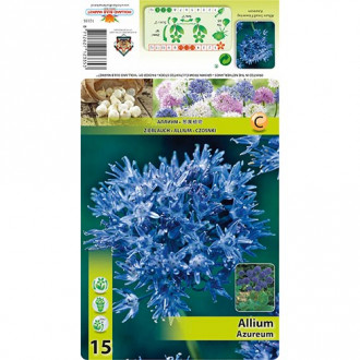 Allium Azureum interface.image 2