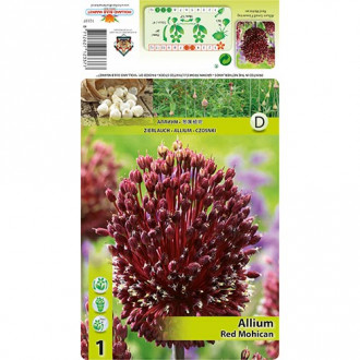 Allium Red Mohican interface.image 6