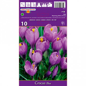 Crocus Blue interface.image 5