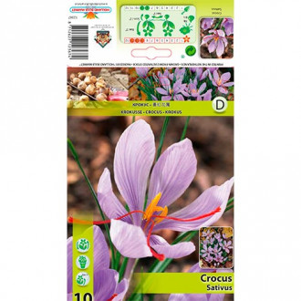 Crocus Sativus interface.image 3