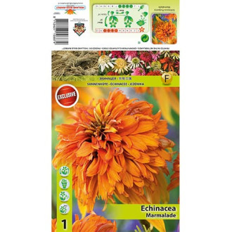 Equinácea Marmalade interface.image 5