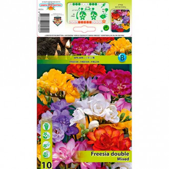 Freesia Double Mixed interface.image 6