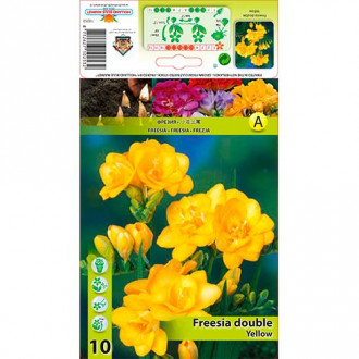 Freesia Double Yellow interface.image 6