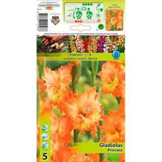 Gladíolo Princess interface.image 1