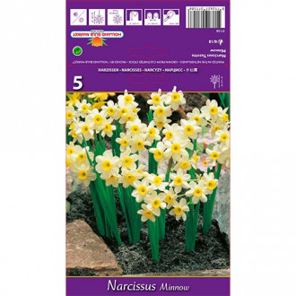 Narcissus Minnow interface.image 4