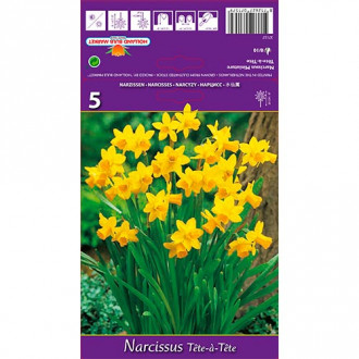 Narcissus Tete-a-Tete interface.image 1