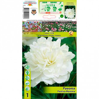 Peony Festiva Maxima interface.image 1