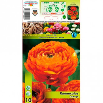 Ranunculus (Ranúnculo Asiático) Orange interface.image 3