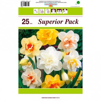 Oferta fantástica! Mistura de cores do Narciso, conjunto de 25 bolbos interface.image 4