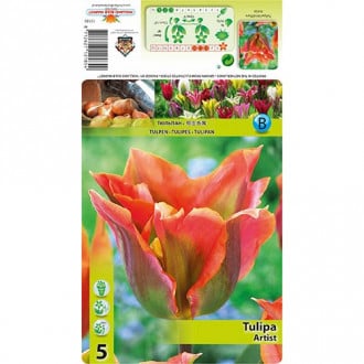 Tulip Artist interface.image 6