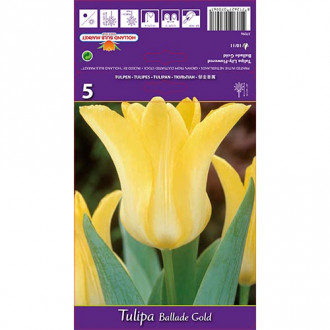 Tulip Ballade Gold interface.image 3