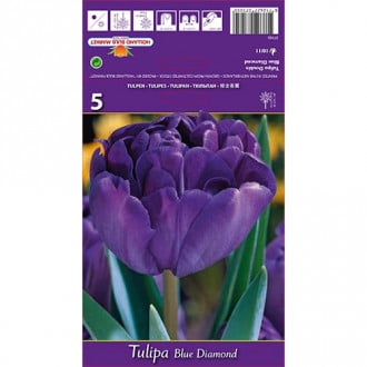 Tulip Blue Diamond interface.image 4