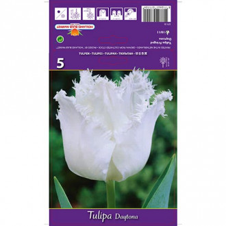 Tulip Daytona interface.image 4