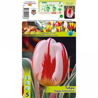 Tulip Happy Generation interface.image 6