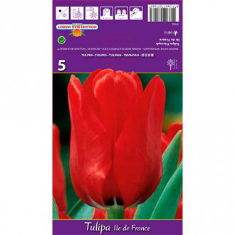 Tulip Ile de France interface.image 3