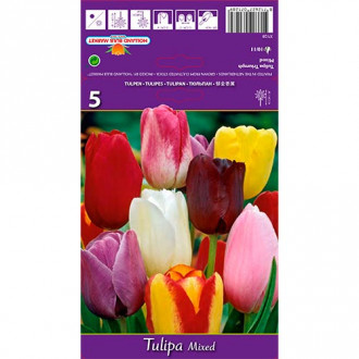 Tulip Mixed interface.image 4