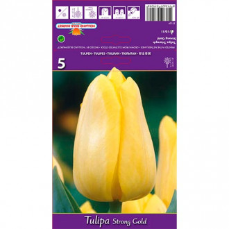 Tulip Strong Gold interface.image 1