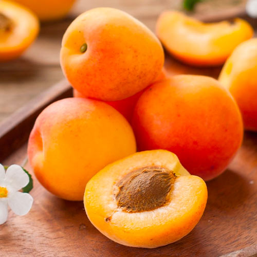 Damasco South Sea interface.image 1 interface.art 1626