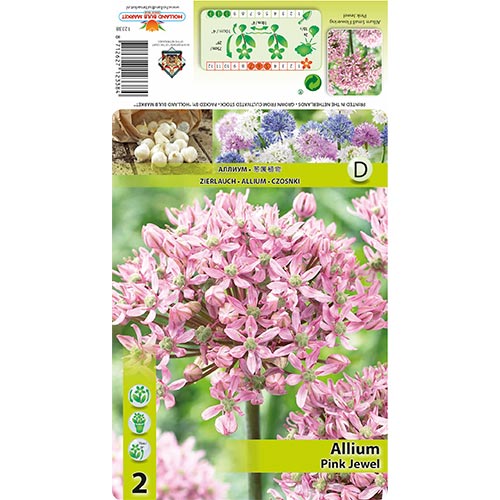Allium Pink Jewel interface.art foto 1 Allium Pink Jewel interface.image 1 interface.art 67300