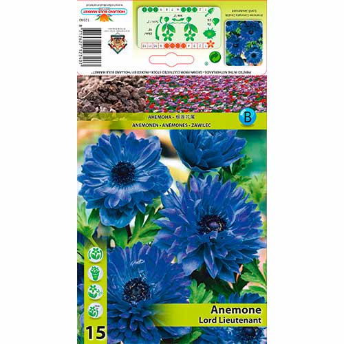 Anemone Lord Lieutenant interface.image 1 interface.art 76165