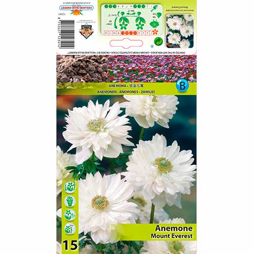 Anemone Mount Everest interface.art foto 1 Anemone Mount Everest interface.image 1 interface.art 76166