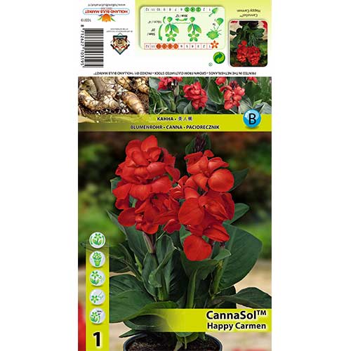 Cannasol Happy Carmen interface.art foto 1 Cannasol Happy Carmen interface.image 1 interface.art 76400