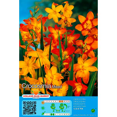 Crocosmia Mixed interface.art foto 1 Crocosmia Mixed interface.image 1 interface.art 76404
