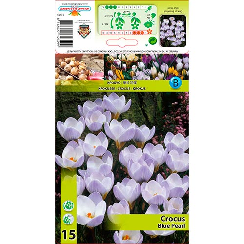 Crocus Blue Pearl interface.art foto 1 Crocus Blue Pearl interface.image 1 interface.art 67327