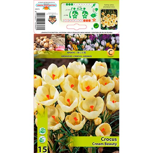Crocus Cream Beauty interface.art foto 1 Crocus Cream Beauty interface.image 1 interface.art 67328