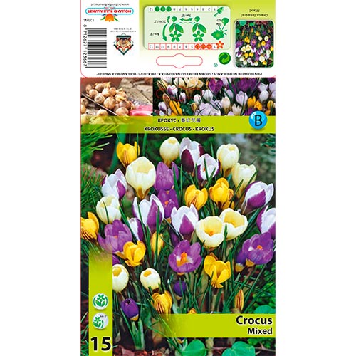 Crocus Mixed interface.art foto 1 Crocus Mixed interface.image 1 interface.art 67333