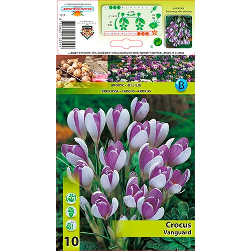 Crocus Vanguard interface.art foto 1 Crocus Vanguard interface.image 1 interface.art 67343