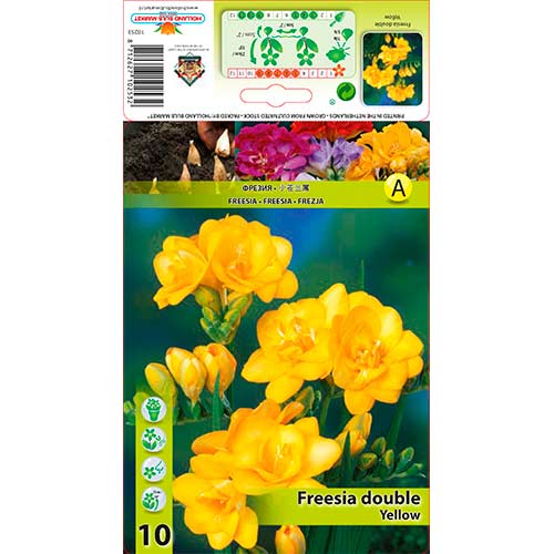 Freesia Double Yellow interface.art foto 1 Freesia Double Yellow interface.image 1 interface.art 76240