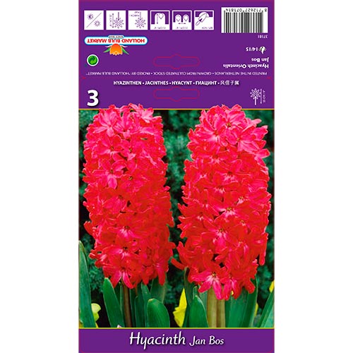 Jacinto Jan Bos interface.art foto 1 Jacinto Jan Bos interface.image 1 interface.art 67596