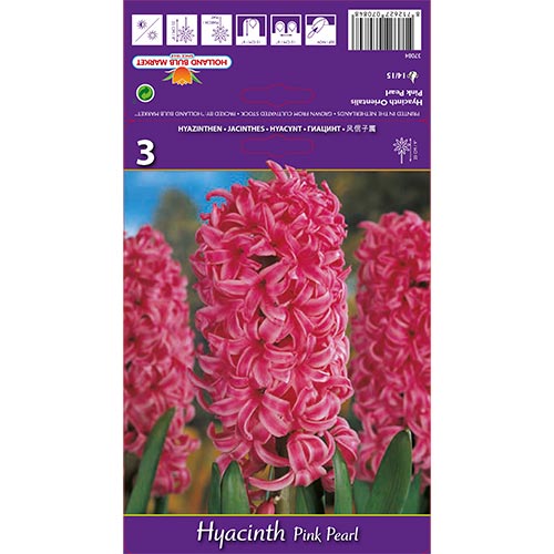 Jacinto Pink Pearl interface.art foto 1 Jacinto Pink Pearl interface.image 1 interface.art 67365