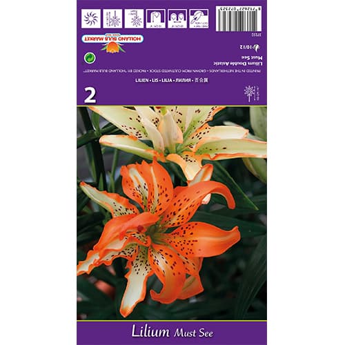 Lírio Must See interface.art foto 1 Lírio Must See interface.image 1 interface.art 77838