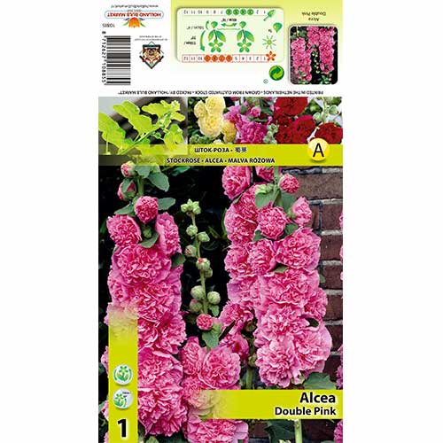 Malva Pink Double interface.art foto 1 Malva Pink Double interface.image 1 interface.art 70323